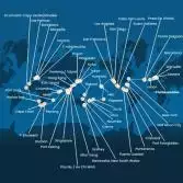 Italia, Francia, Spagna, Portogallo, Isole Azzorre, Stati Uniti, Florida (USA), Messico, Stati Uniti, Hawai, Polinesia, Fiji