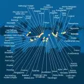 Italia, Francia, Spagna, Portogallo, Isole Azzorre, Stati Uniti, Florida (USA), Panama, Stati Uniti, Hawai, Nuova Zelanda