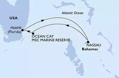 MSC ARMONIA - Itinerario di 4 notti partendo da MIAMI, UNITED STATES il 22/02/2021 - USA, Bahamas