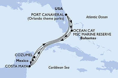 Port Canaveral,Ocean Cay,Cozumel,Costa Maya,Port Canaveral,Ocean Cay,Ocean Cay,Costa Maya,Cozumel,Port Canaveral