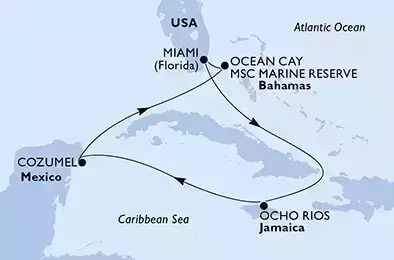 MSC SEASHORE - Itinerario di 7 notti partendo da MIAMI, UNITED STATES il 29/01/2022 - USA, Giamaica, Messico, Bahamas